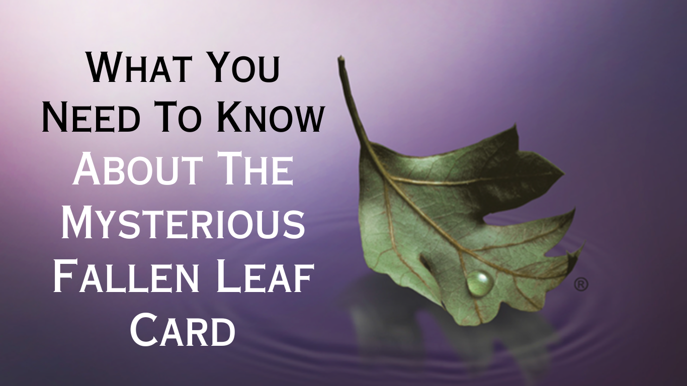 What You Need To Know About The Mysterious Fallen Leaf Card